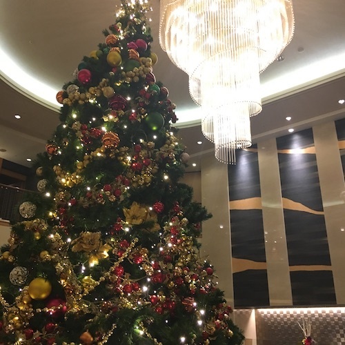 2016-12-01 20.50.06.jpg